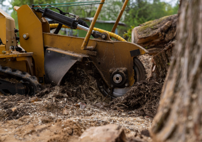 stump grinding on the Gold Coast